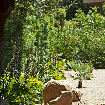 New 1-Year-Old Garden