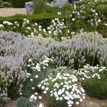 Rosengarten im Volkspark Potsdam