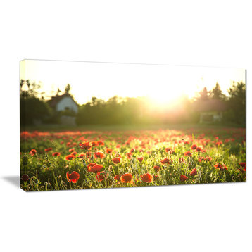Poppy Field under Bright Sunlight, Large Landscape Canvas Art Print, 32"x16"