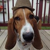 Nick Compton's photo
