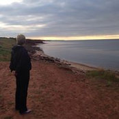 Sandy Lohnes's photo