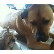 Midge Wright's photo