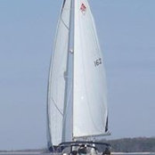 Mark Alexander's photo