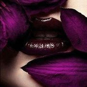 Donna Johnson's photo