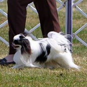 Photo de Suzanne Warfield