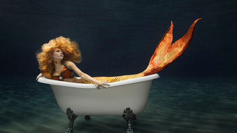 Close To Home Showroom