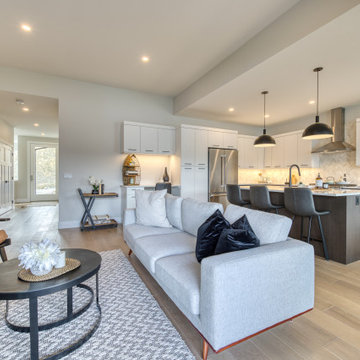 Canvas at Mckinley beach show home