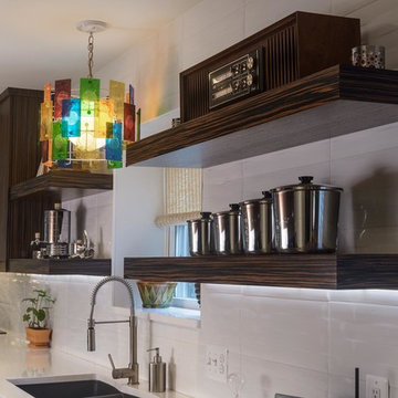 Alexandria Contemporary Kitchen