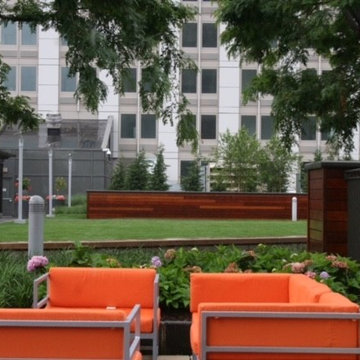 Amenities Roof