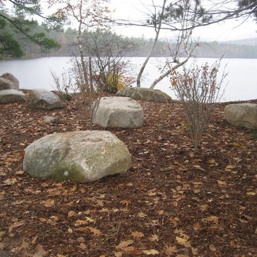 Native boulders and witch hazel along the shores of Chocorua Lake