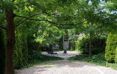 Backyard of the Week: Leafy Park-Like Retreat in Toronto