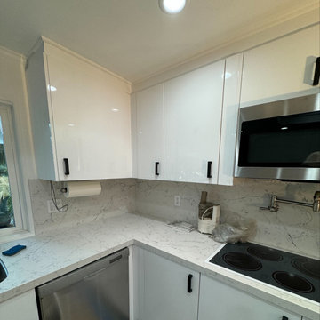 Kitchen Remodel