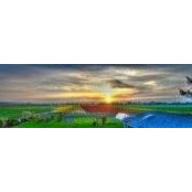 Sue Curtis's photo