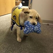 Chris Iams's photo