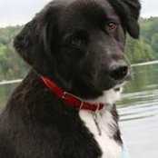 Arlene Rust's photo