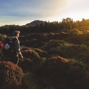 Thibaut Cmt's photo
