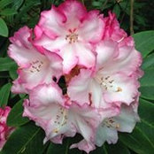 Mary Kay Talbot's photo