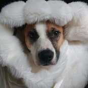Brenda Cantrell's photo