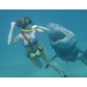 Shelby Taranto's photo