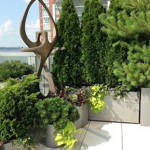 City Terrace