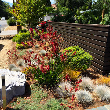 Master Suite Privacy: A Front Yard Transformed