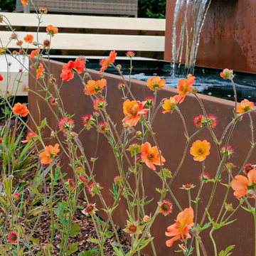 Rachel Bailey Garden Design