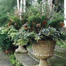 Outdoor Pots