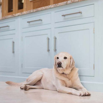 Luxury Hand Painted Kitchen - Dog!