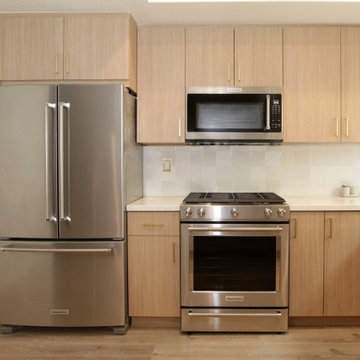 Sherman Oaks Modern