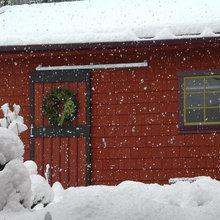 Winter Wonderland