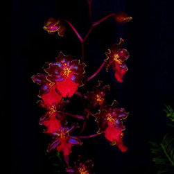Photography - Products