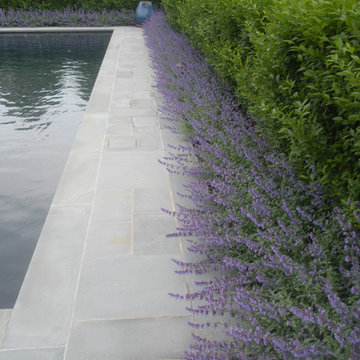 Pool Landscape Designs
