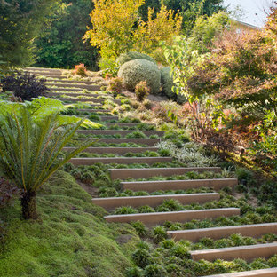 Aménagement d'un jardin contemporain avec une exposition ombragée et une pente, une colline ou un talus.