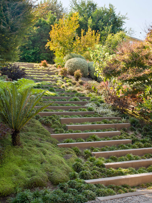 Houzz | Boulder Retaining Steps On Slope Design Ideas & Remodel Pictures