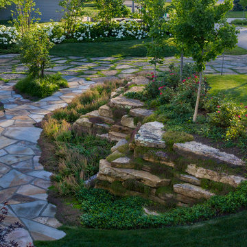Paragon Landscape