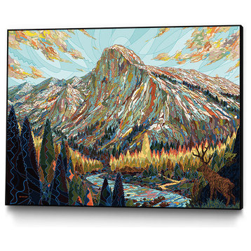 Technicolor Art block Framed Canvas, 20"x16"