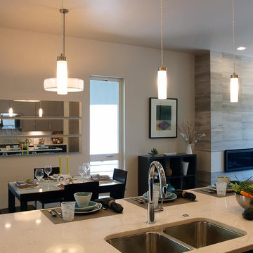 Longmont - Contemporary Townhomes - Prospect New Town
