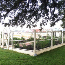 Garden/Chickens