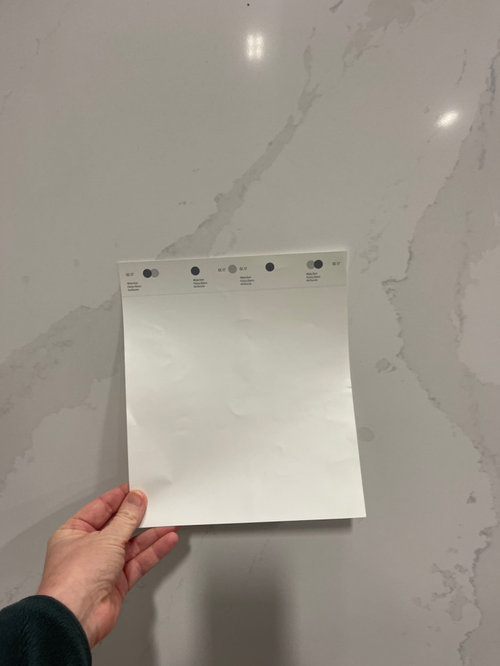 what color white to go with silestone eternal calacatta gold?