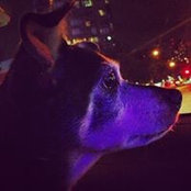 Rachel Woshinsky's photo