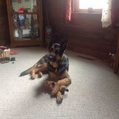 Lois Ferryman's photo
