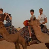 Foto von Alison McLeod