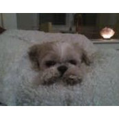 Karen Kness's photo