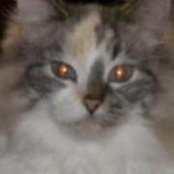 Karen Stiltner's photo