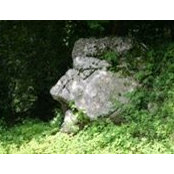 Silvana Piccioni-Sovran's photo