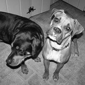 Foto de Luanne Thomas