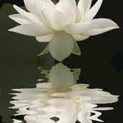Tamara Riche's photo