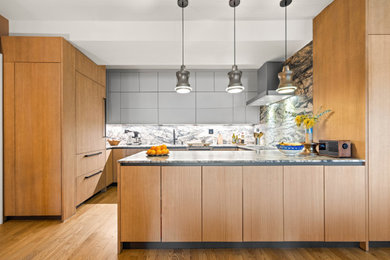Kitchen - modern kitchen idea in New York with quartzite countertops and paneled appliances