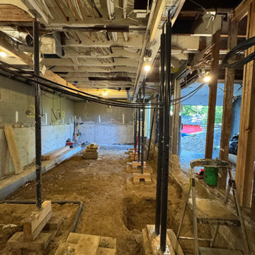 IN PROGRESS - EASTERLIN‘S RESIDENCE - BASEMENT REMODEL
