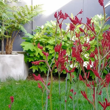 Willowhaven Cozy Oasis